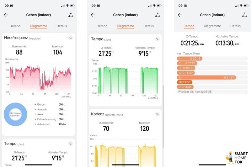 Man sieht die aufgezeichneten Daten in der Huawei Health App.